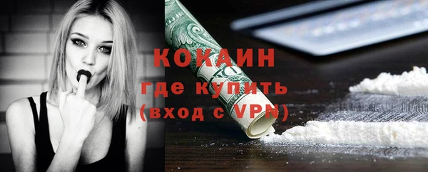 гидра Вязьма