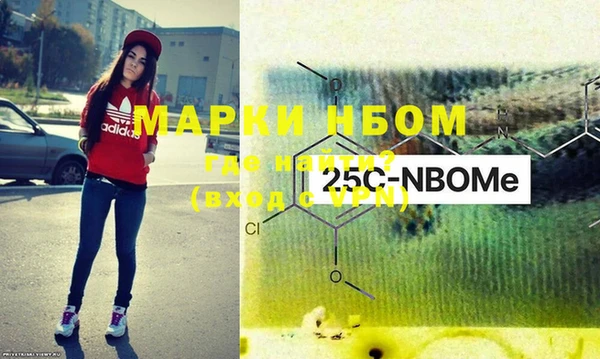 гидра Вязьма