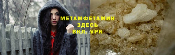 гидра Вязьма