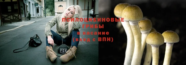 не бодяженный Горно-Алтайск