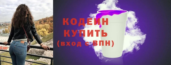 гидра Вязьма