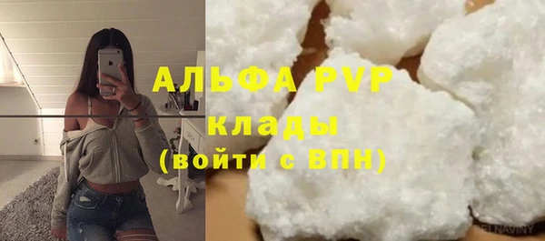 гидра Вязьма