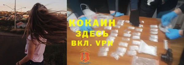 дмт Вяземский