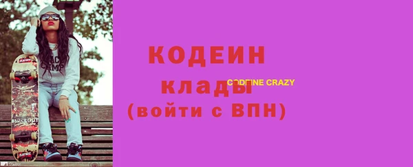 гидра Вязьма
