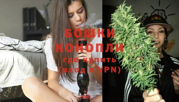 эйфоретик Горняк