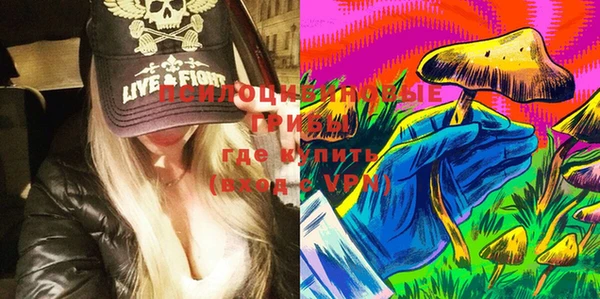 дмт Вяземский