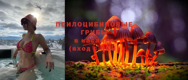 СК Горнозаводск
