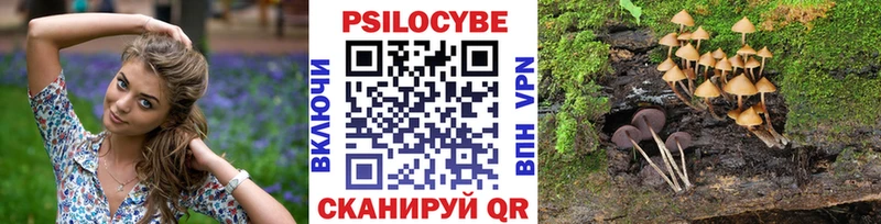 Галлюциногенные грибы MAGIC MUSHROOMS  Полесск 